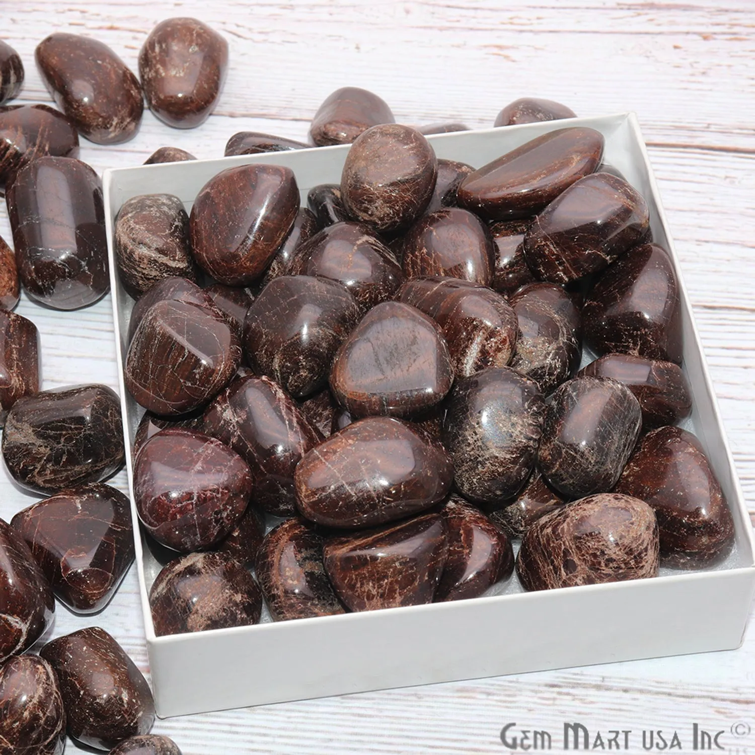 3.53oz Lot Brown Agate Tumbled Reiki Healing Metaphysical Beach Spiritual Gemstone