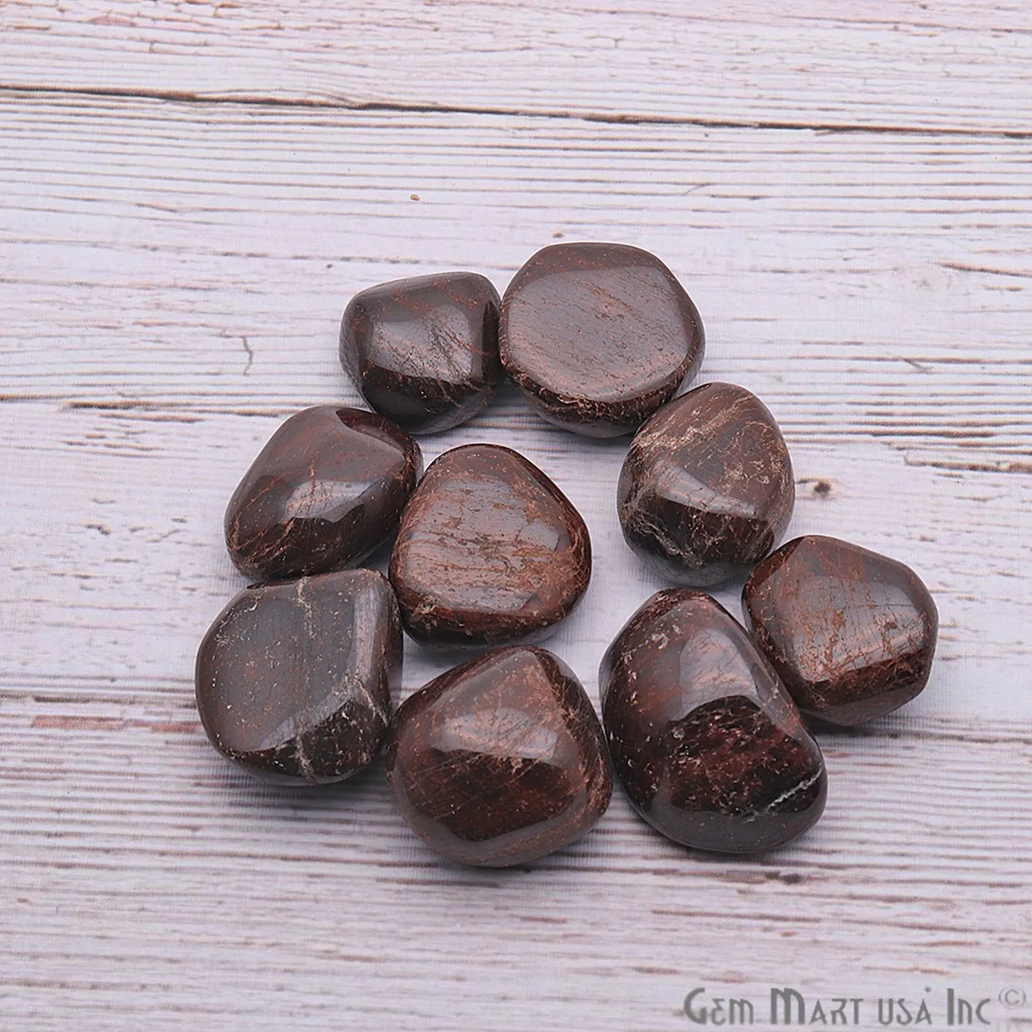3.53oz Lot Brown Agate Tumbled Reiki Healing Metaphysical Beach Spiritual Gemstone