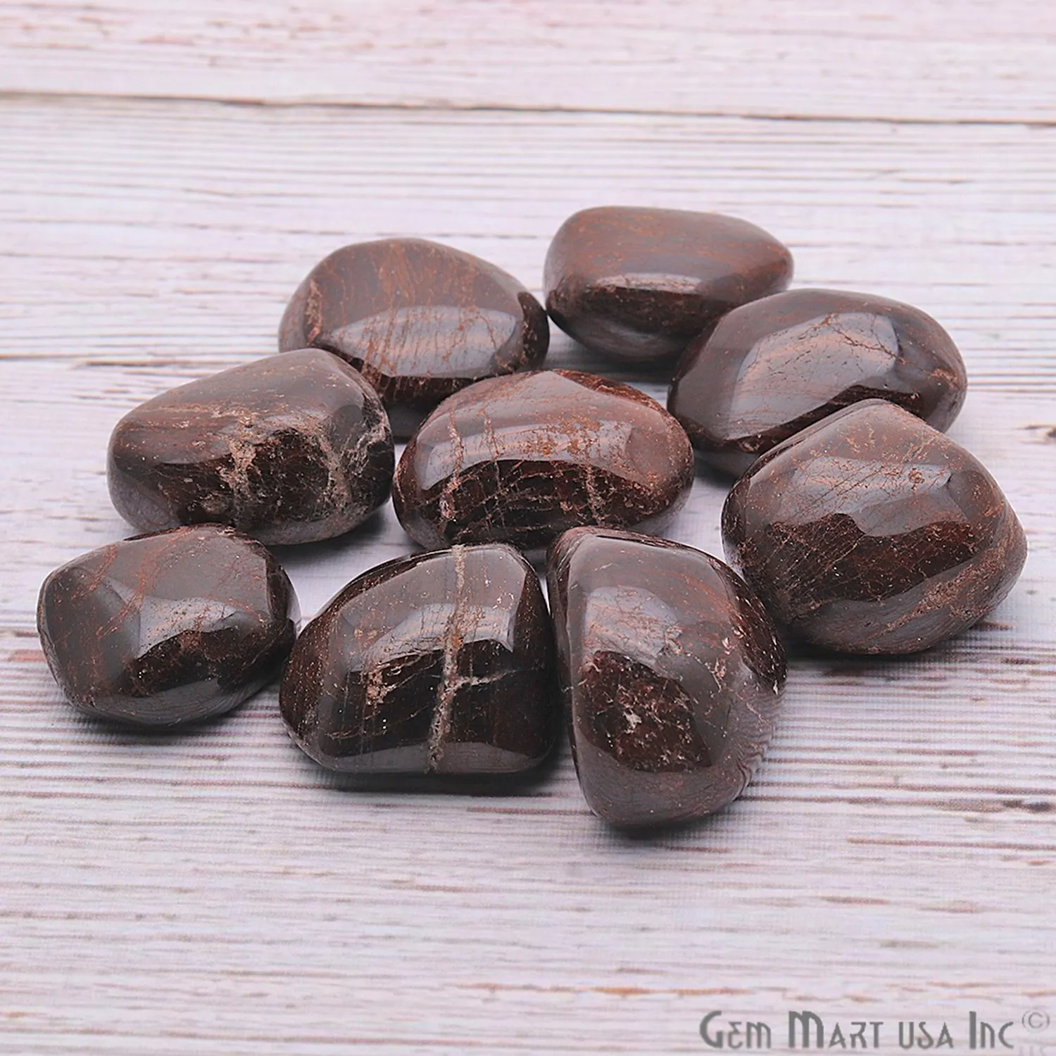 3.53oz Lot Brown Agate Tumbled Reiki Healing Metaphysical Beach Spiritual Gemstone