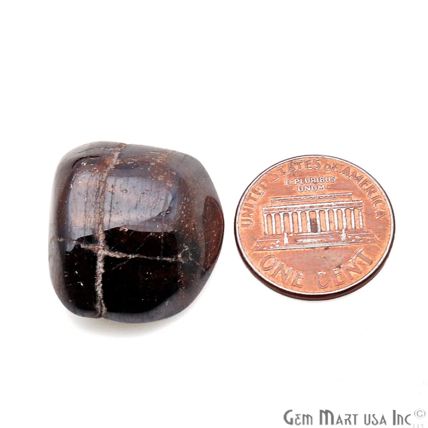 3.53oz Lot Brown Agate Tumbled Reiki Healing Metaphysical Beach Spiritual Gemstone