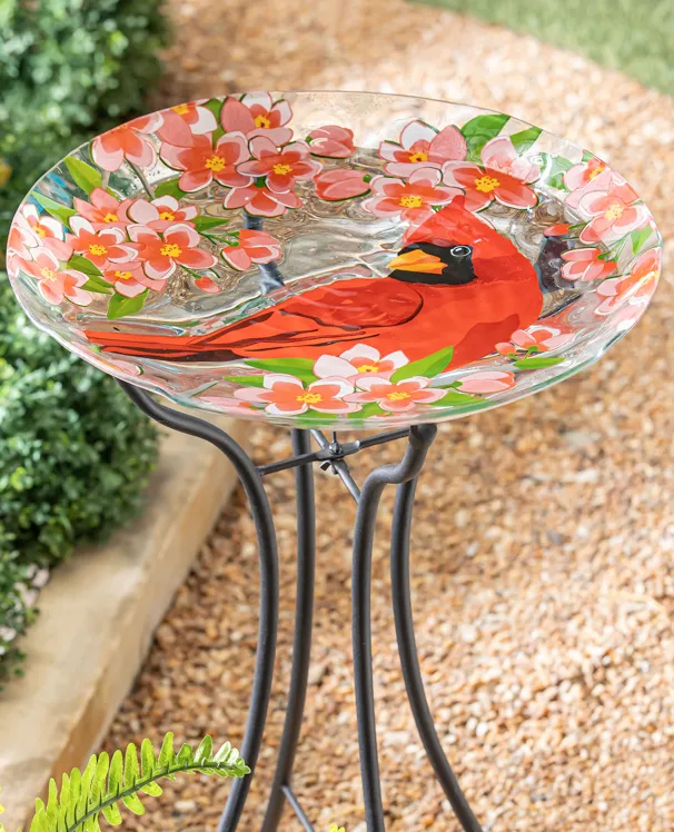 Bird Bath - Cardinal Embossed Glass
