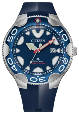 Citizen Promaster Dive Watch