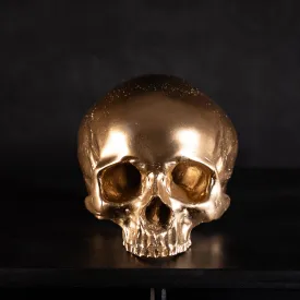 Skull of Jane Doe Ornament - Gold